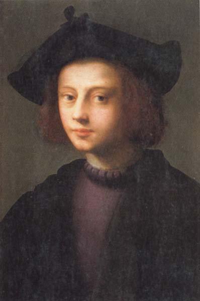 PULIGO, Domenico Portrait of Piero Carnesecchi oil painting image
